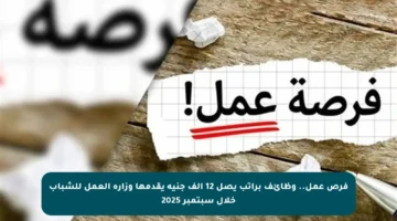 فرص عمل.. وظائف براتب يصل 12 ألف جنيه يقدمها وزارة العمل للشباب خلال سبتمبر 2025